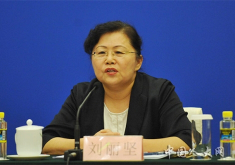國家稅務總局總審計師劉麗堅回答記者提問